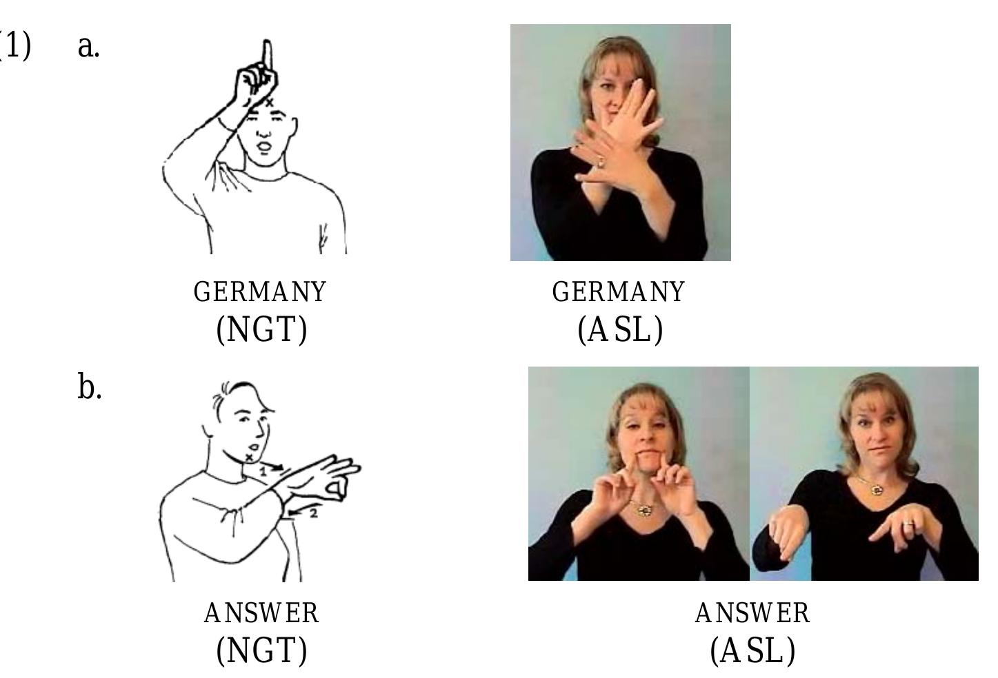 (PDF) Handwaving & headshaking? On the linguistic structure of sign ...