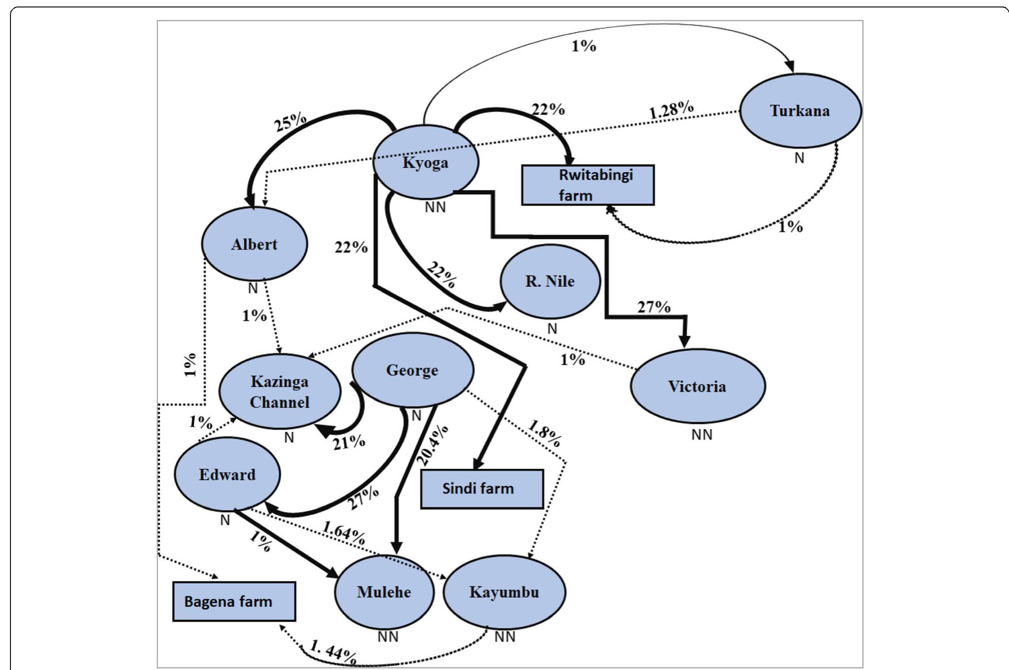 (PDF) Molecular genetic diversity and differentiation of Nile tilapia ...