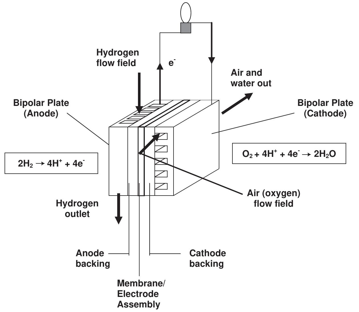 Schematic diagram of a polymer electrolyte membrane fuel