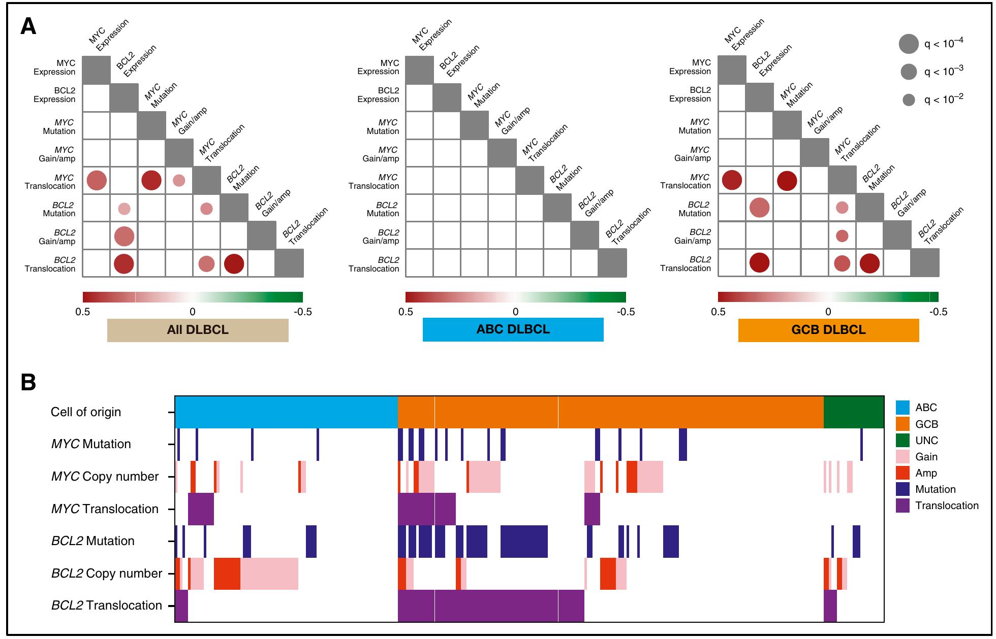 (PDF) Genetic profiling of MYC and BCL2 in diffuse large B-cell ...