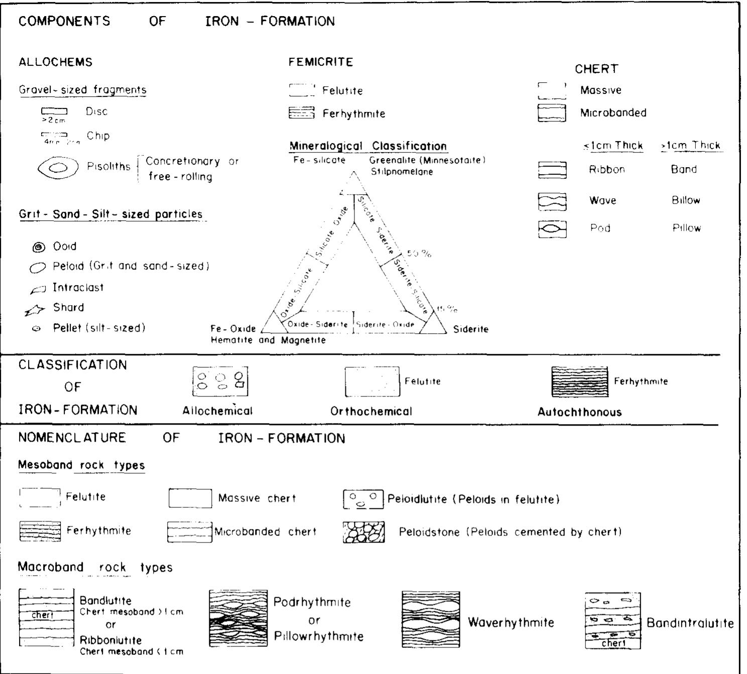 The components, classification and nomenclature of