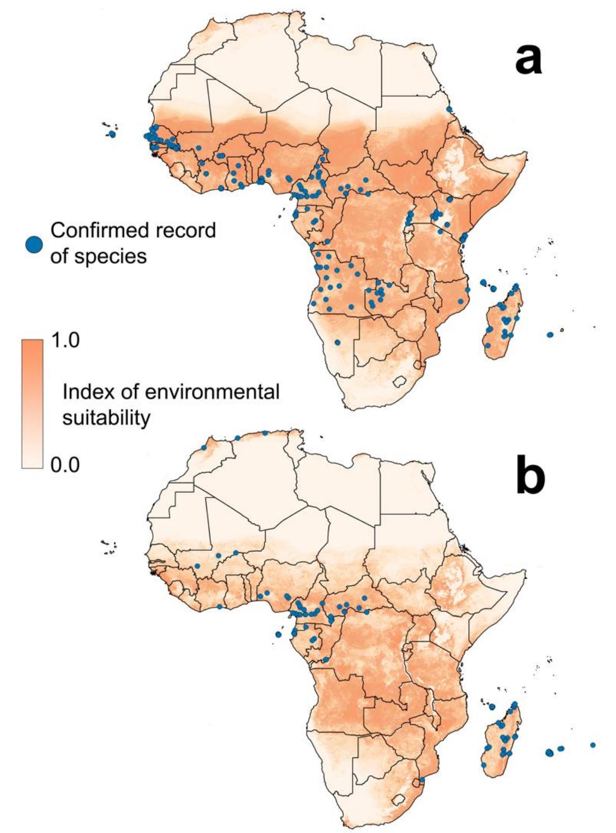 (PDF) Aedes Mosquitoes and Aedes-Borne Arboviruses in Africa: Current ...