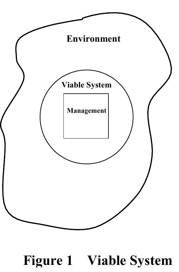 The viable system is co-evolving with a range of agents