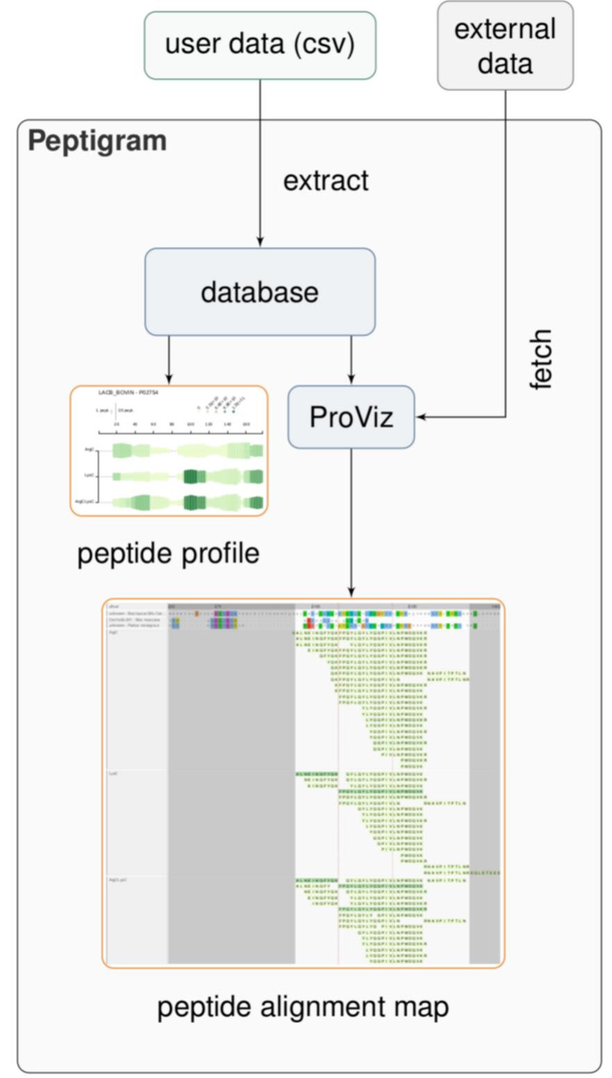 Peptide Visualization (PDF) Peptigram: A Web-Based Application for Peptidomics Data Visualization
