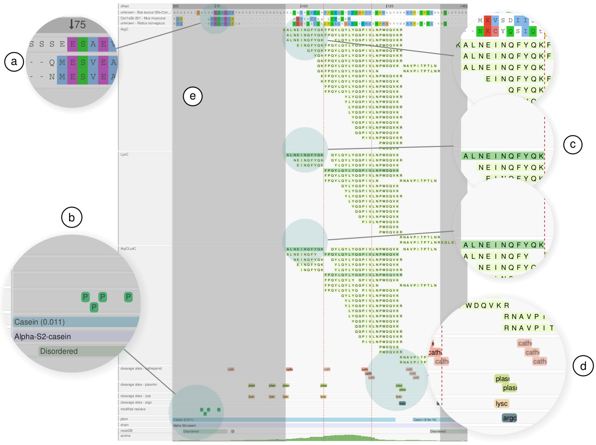 Peptide Visualization (PDF) Peptigram: A Web-Based Application for Peptidomics Data Visualization