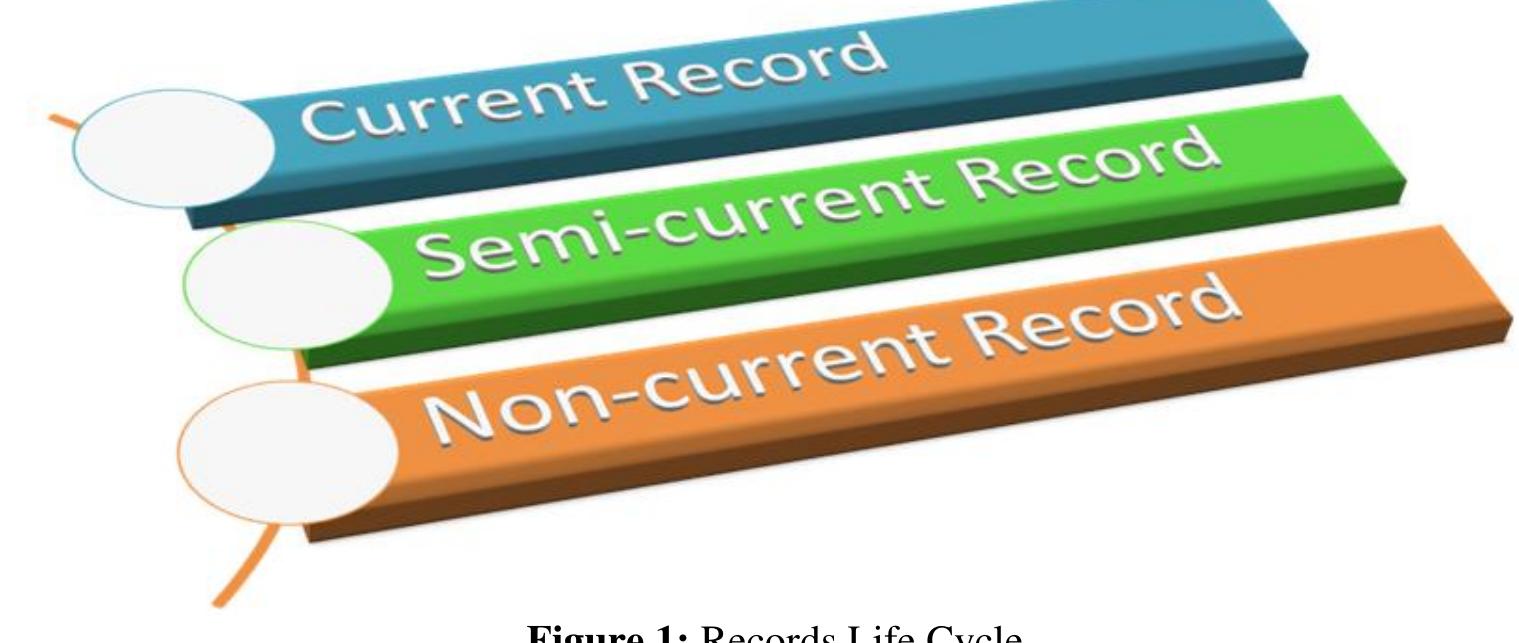 (PDF) The Need for a Comprehensive Record Keeping System in Hospitals