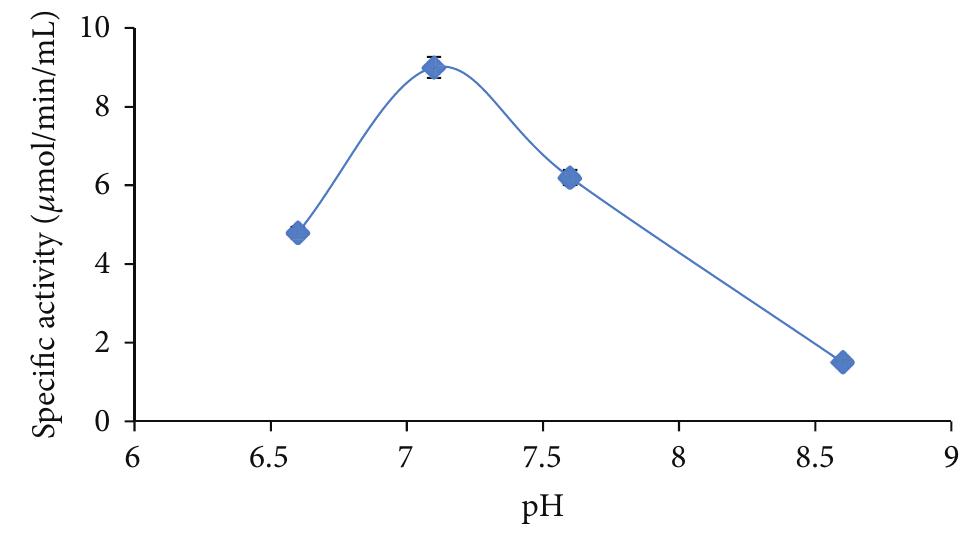 (PDF) Production and Partial Purification of Alpha Amylase from ...