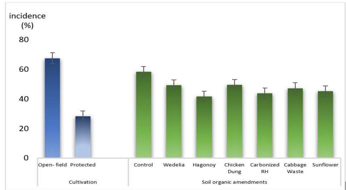 (PDF) Growth and yield of tomato (Solanum lycopersicum) as influenced ...
