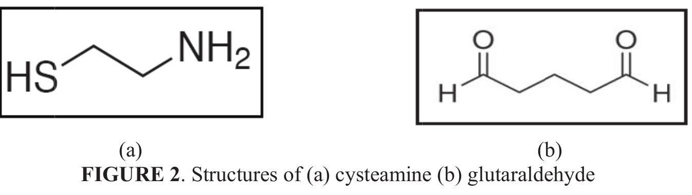 Cys R Group Figure 2 - from DNA biosensor for detection of Salmonella