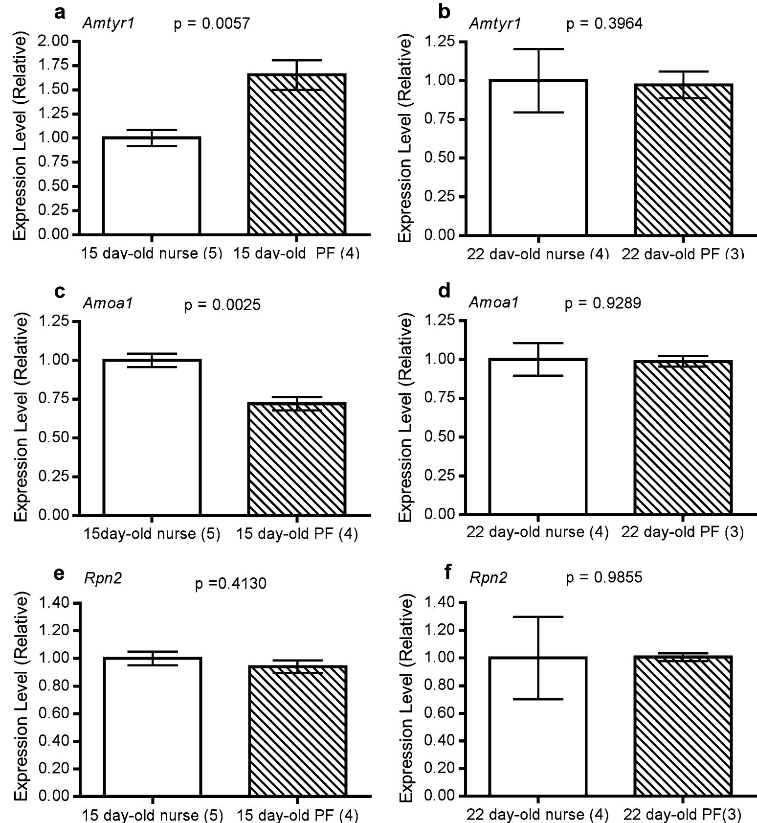 (von Nickisch-Rosenegk et al. 1996; Dacks et al. 2006; Brigaud et al. 2009), but also octopamine, acting directly on olfactory receptor neurons, has been found to alter receptor neuron firing properties and improve pheromone detection (Kiippers and Thurm 1975; Pophof 2000, 2002; Grosmaitre et al. 2001; Flecke and Stengl 2009; Zhu- kovskaya 2012). Consistent with the findings in moths, octopamine has been shown to enhance honey bee responses to olfactory stimuli (Mercer and Menzel 1982; Hildebrandt and Miiller 1995; Barron et al. 2002; Spivak et al. 2003; Barron and Robinson 2005) and to alter elec- troantennogram (EAG) responses to behaviourally relevant odours (Spivak et al. 2003). These results are consistent also with recent findings showing that young bees most strongly attracted to QMP show high levels of expression of Amoal in the antennae (Vergoz et al. 2009). Interest- ingly, regardless of age, higher levels of octopamine are observed in the brain of foraging bees compared with bees performing duties within the hive (Wagener-Hulme et al.  
