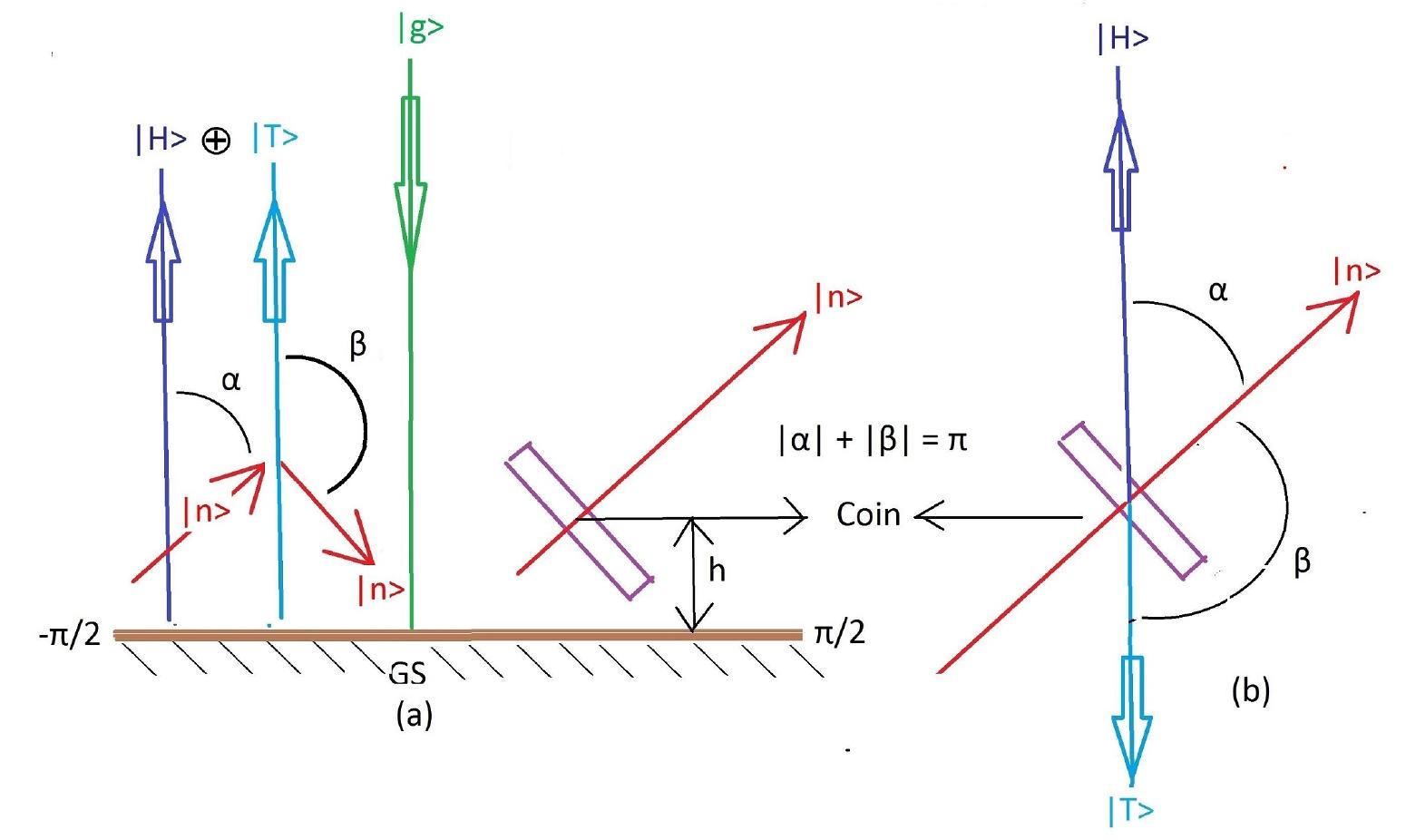 Schematic diagram for the toss of a coin: (a) h is the