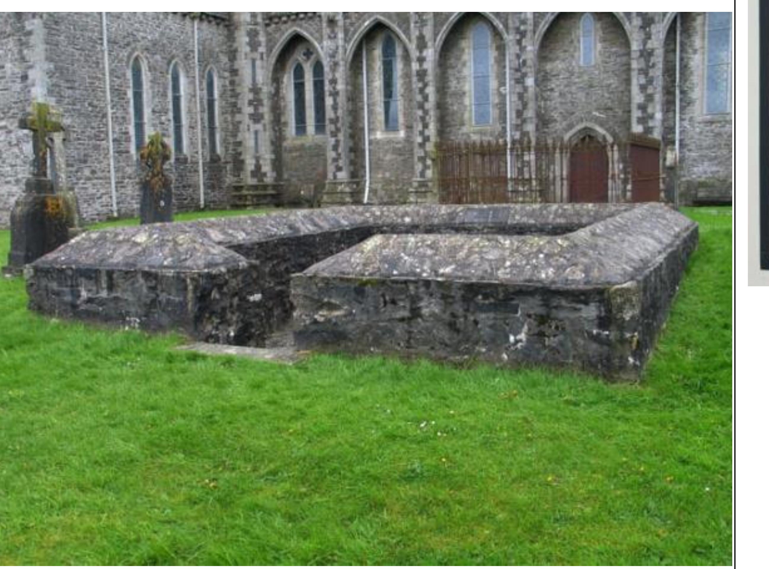 Enclosure in Griffinrath
