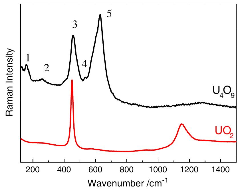 Uo2 Raman Spectroscopy (PDF) Raman spectrum of U4O9: a new interpretation of damage lines in UO2