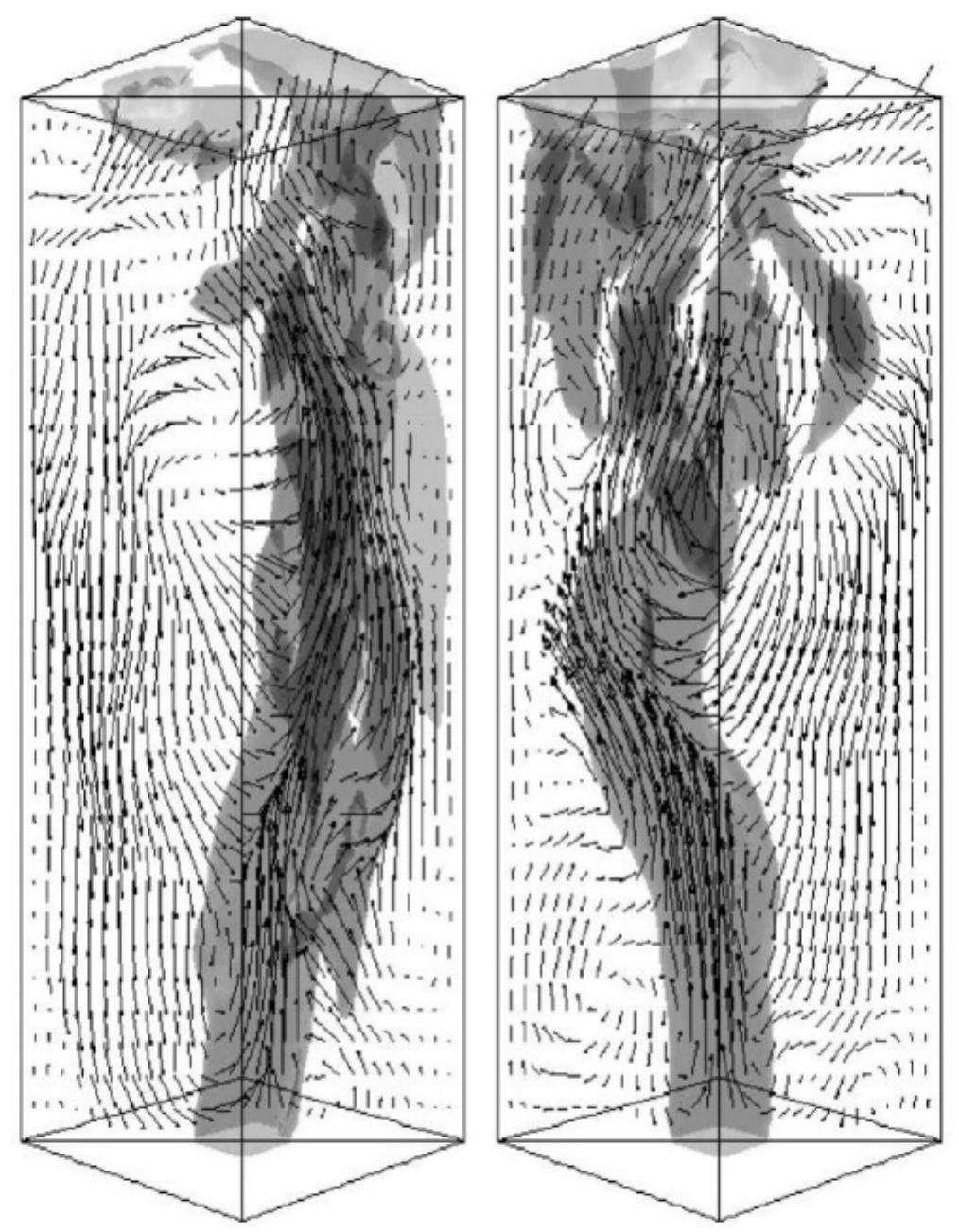 Snapshots of the instantaneous isosurfaces of aq = 0.04 and