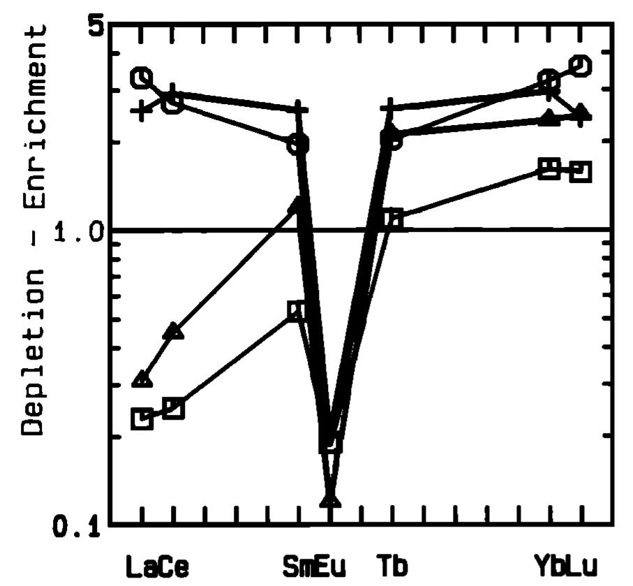 Enrichment (depletion) patterns for the rare earth ele-