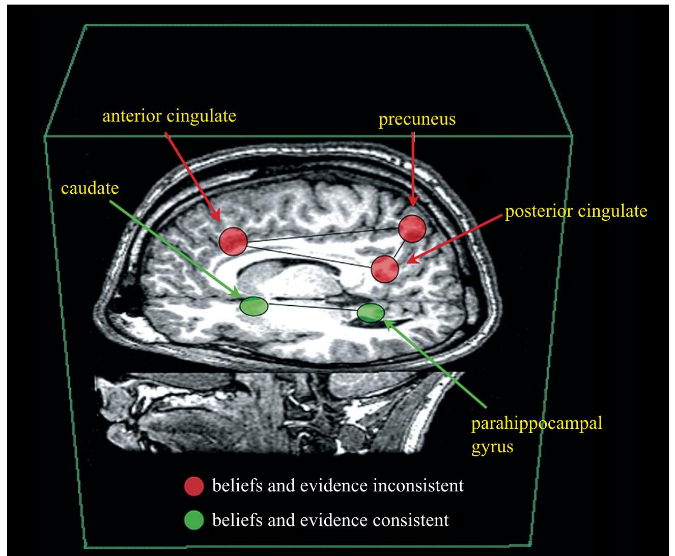 Figure 1 - from A cognitive neuroscience framework for
