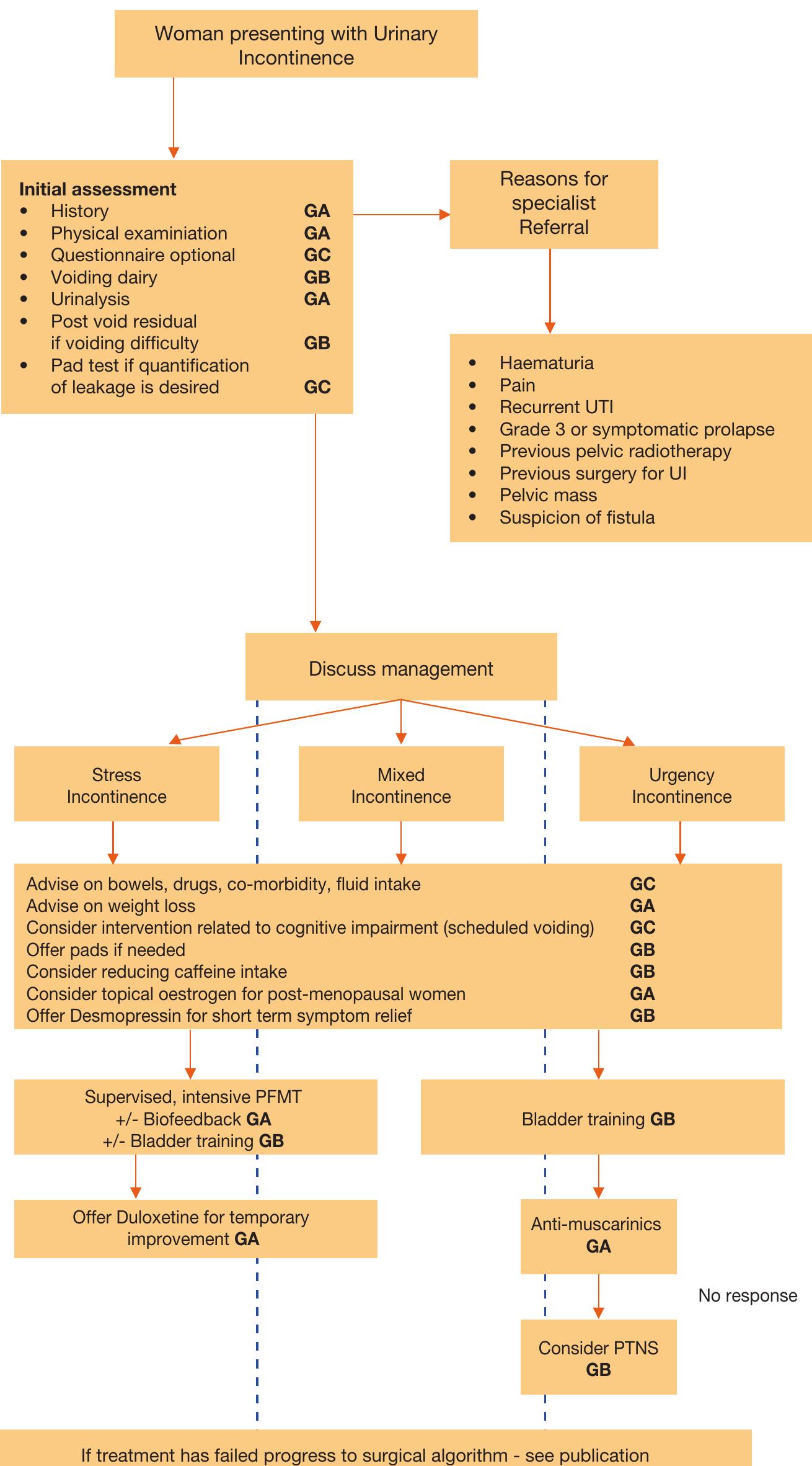 Urine Incontinence Algorithm (PDF) EAU Guidelines on Assessment and Nonsurgical Management of ...