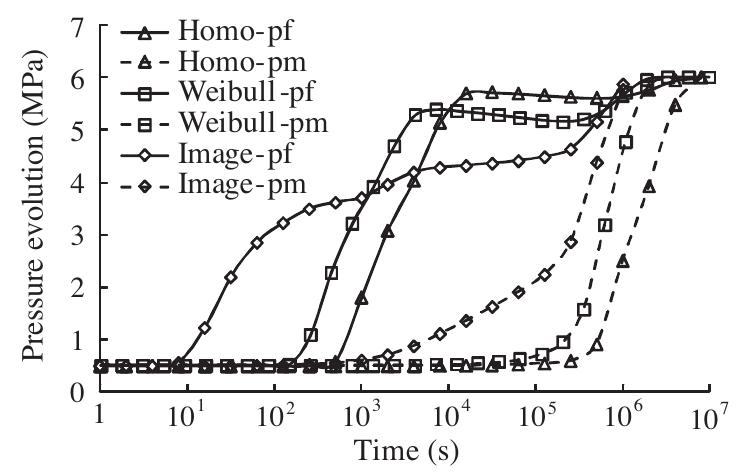 The pressure evolution at point b of fig. 5.