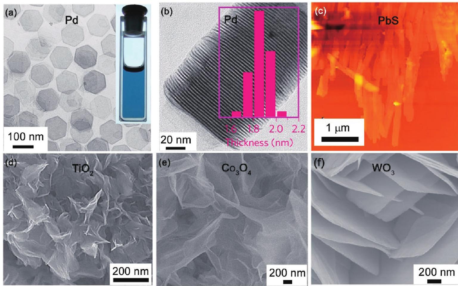 ‘igure 5. (a) tem images of pd nanosheets synthesized in the