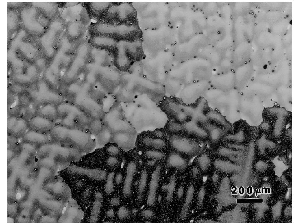 Dendritic Microstructure Example Figure 2 - from Microstructures and Metallographic