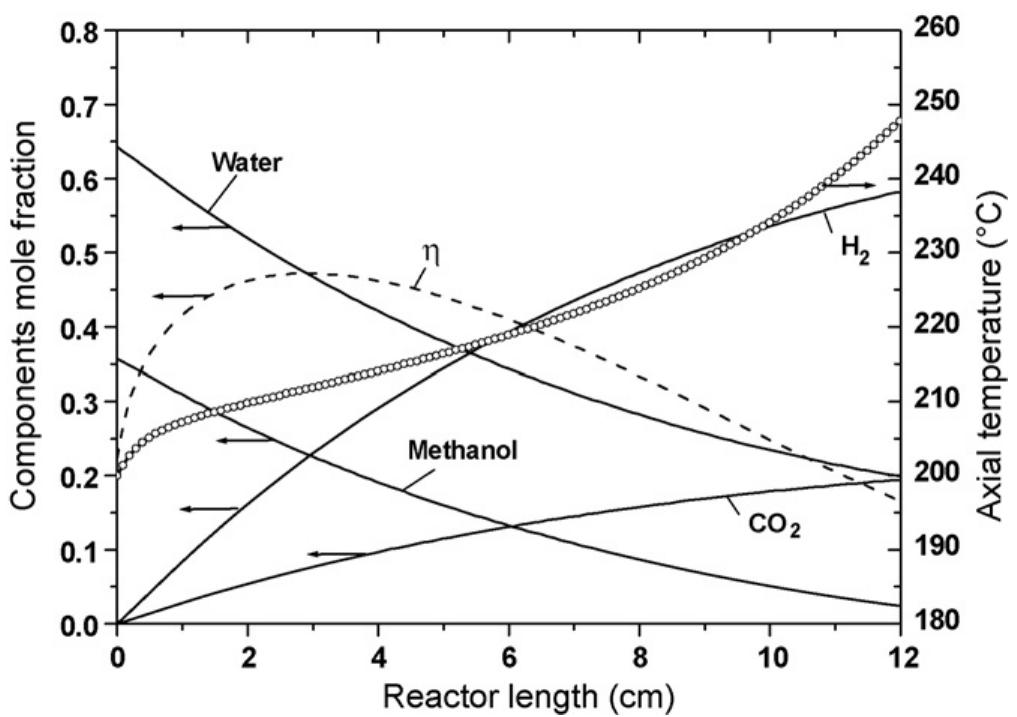 Run r1 - axial reactor profiles of temperature and