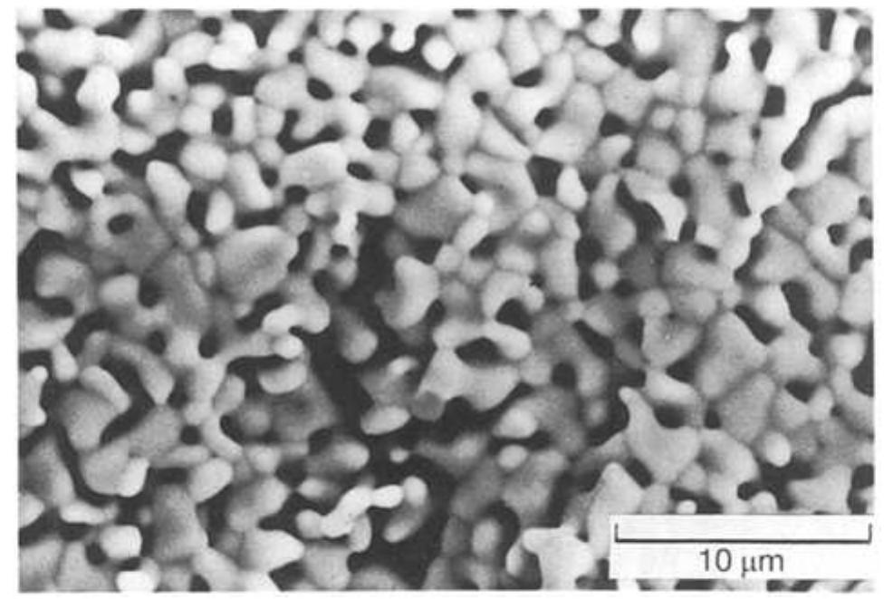 Scanning electron micrograph showing the transformed y-la,s,