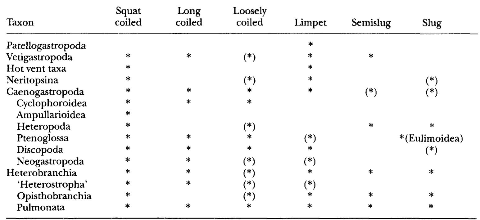 TABLE 6. Body form in the major gastropod clades. * - present, (*) - rare 