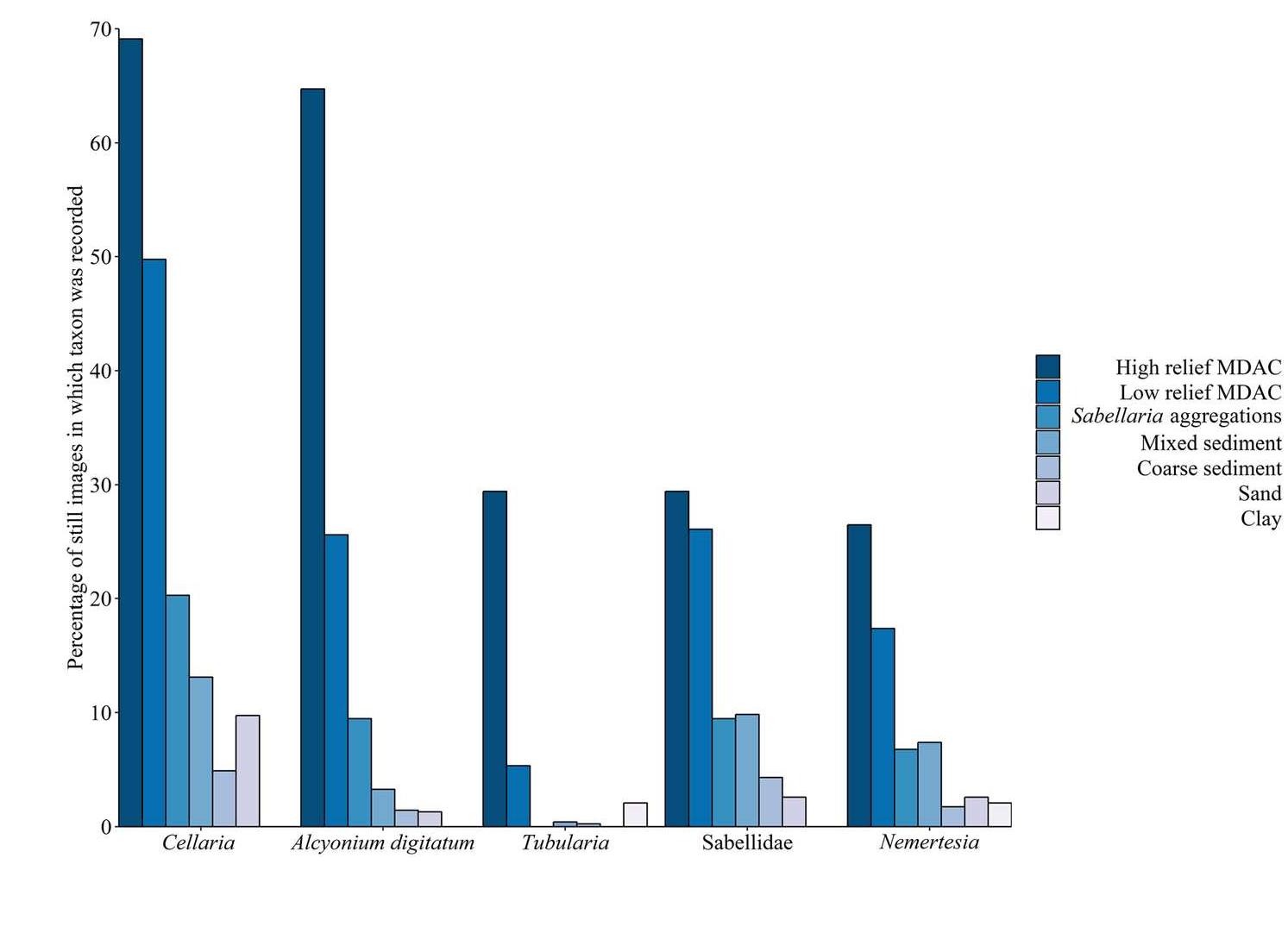 Sacfor (PDF) Monitoring shallow methane-derived authigenic carbonate: Insights ...