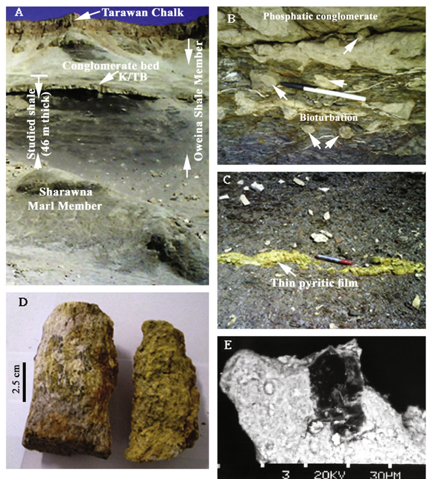 Figure 4 - from Pyrite framboids and their development: a
