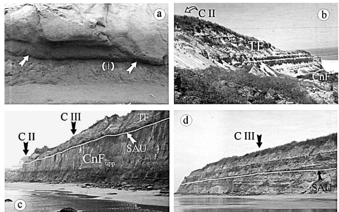 Outcrop photographs of the plio—pleistocene sedimentary