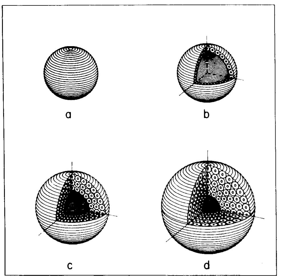 Schematic of support/catalyst fragmentation se. quence for