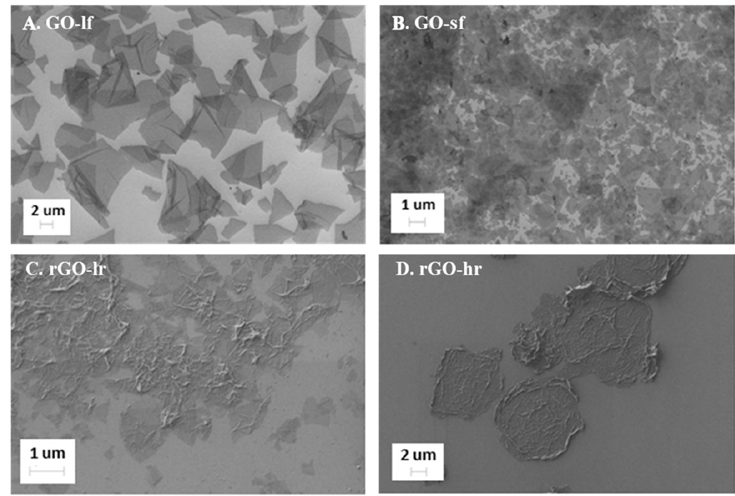 Sem images of the graphene oxide (go) with large flakes