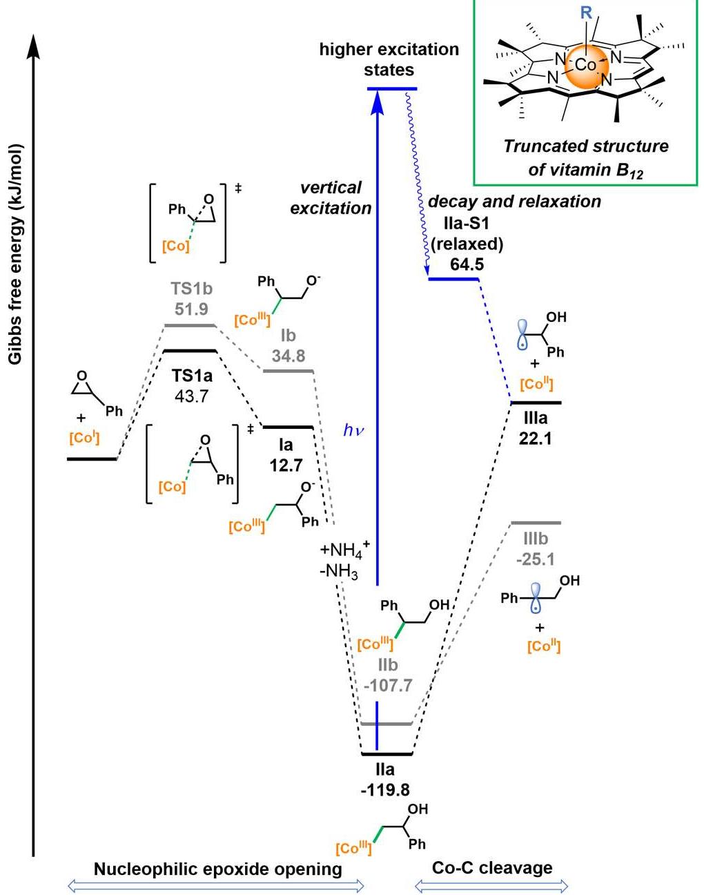 Calculated gibbs free energy profile for the reaction of