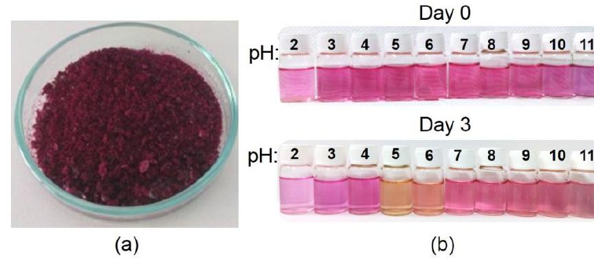 Keywords: beetroot, color, encapsulated extract, ph