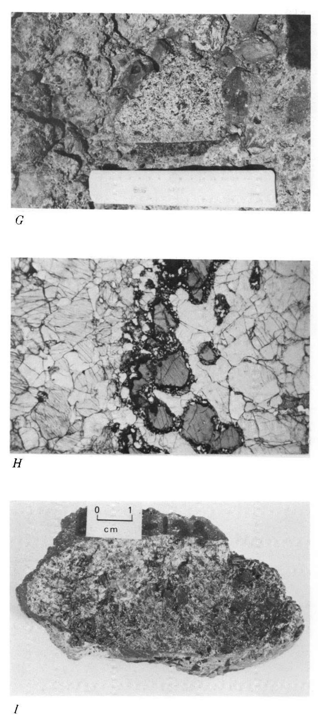 F’, granoblastic texture in olivine metagabbro interleaved