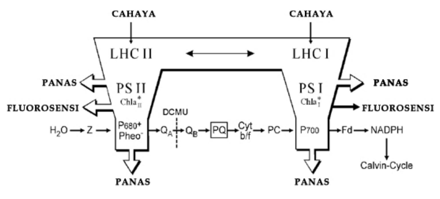Schematic view of primary energy conversion and primary