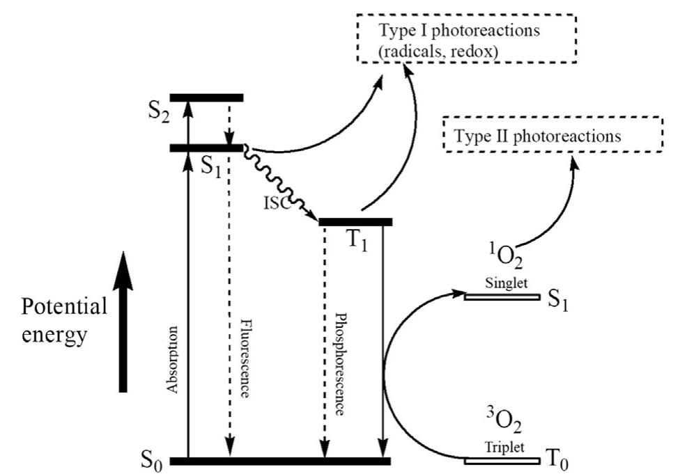 Jablonski diagram showing the main events leading to type i