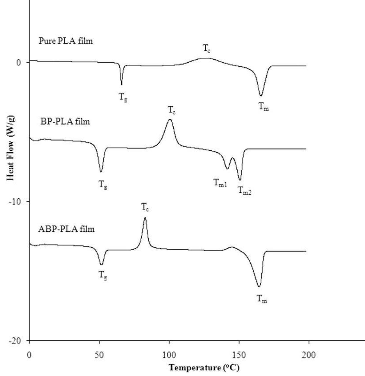 (PDF) Characterization of an antioxidant polylactic acid (PLA) film ...
