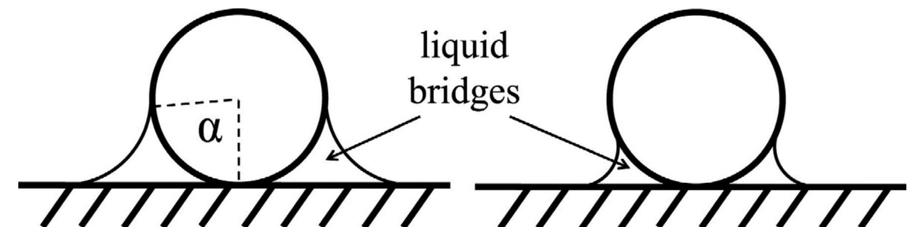 Liquid Bridge Geometry Figure 2 - from Why does paper get stronger as it dries?