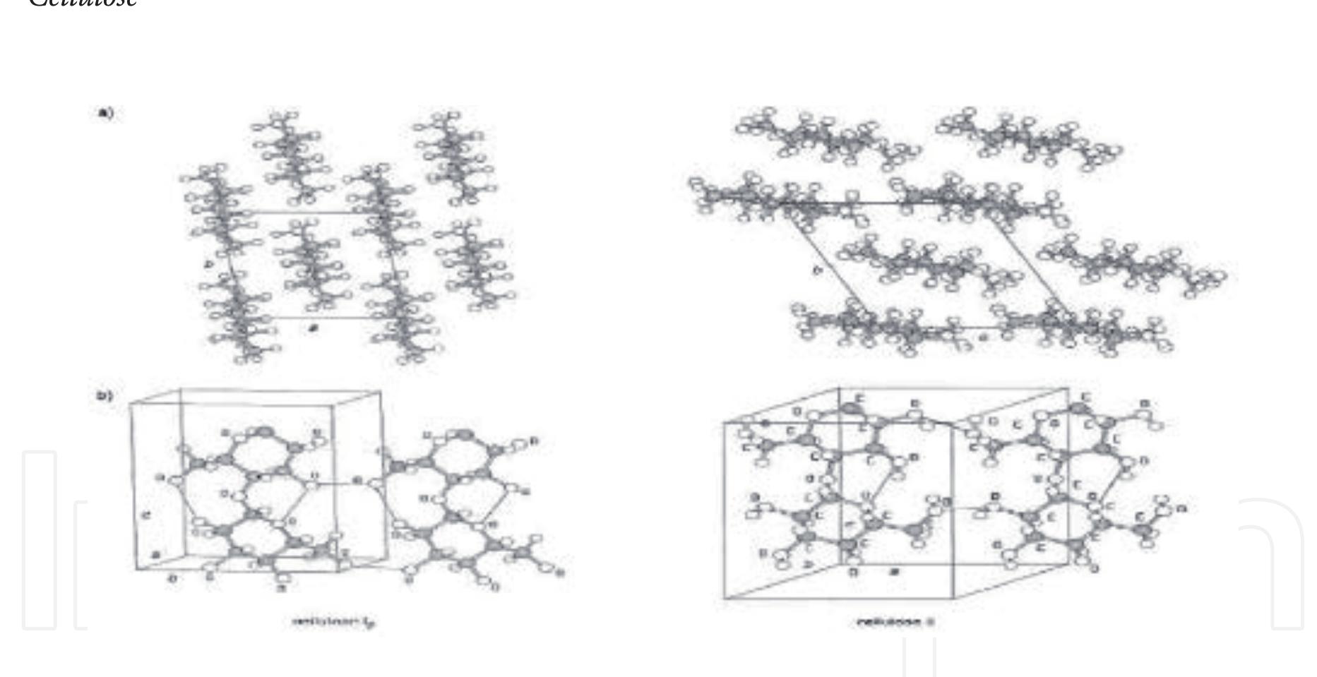 (PDF) An Update on Overview of Cellulose, Its Structure and Applications