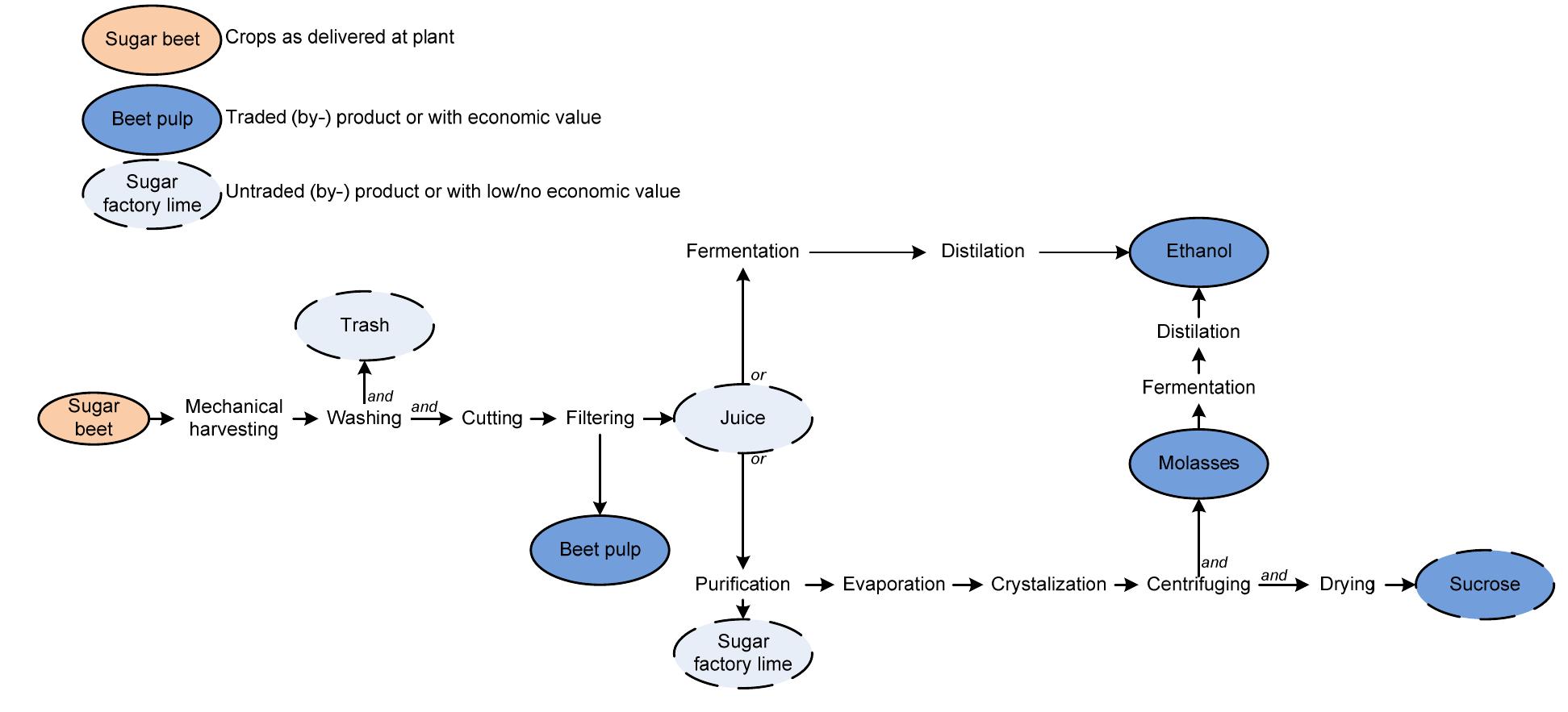 The production system for beet sugar and beet-ethanol