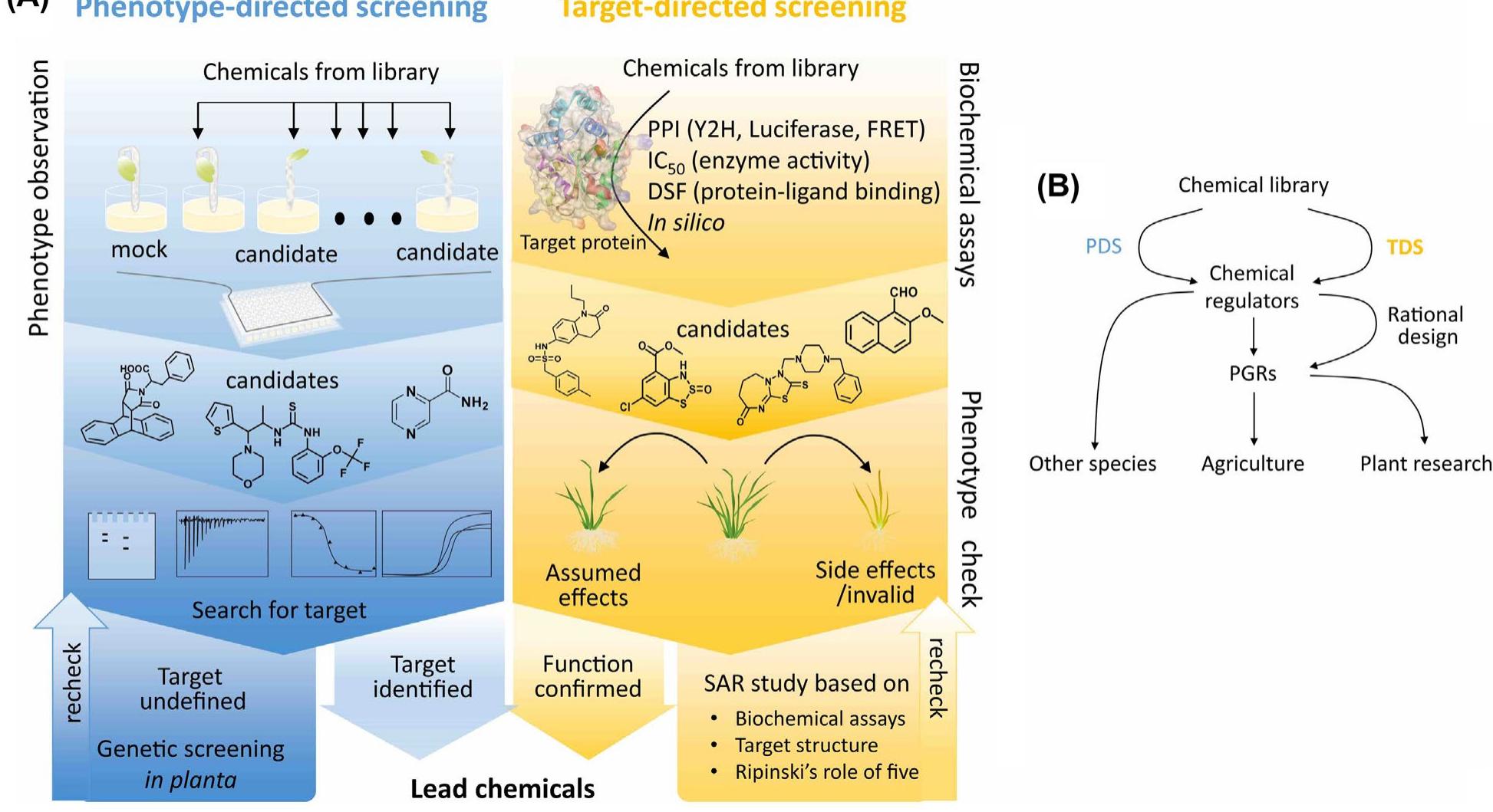 Schematic representation of the workflow of chemical