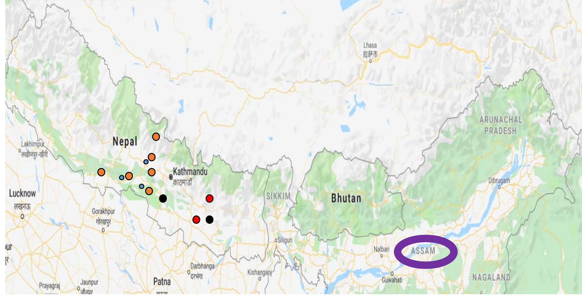 Figure 1 - from Possessive indexes in Assamese