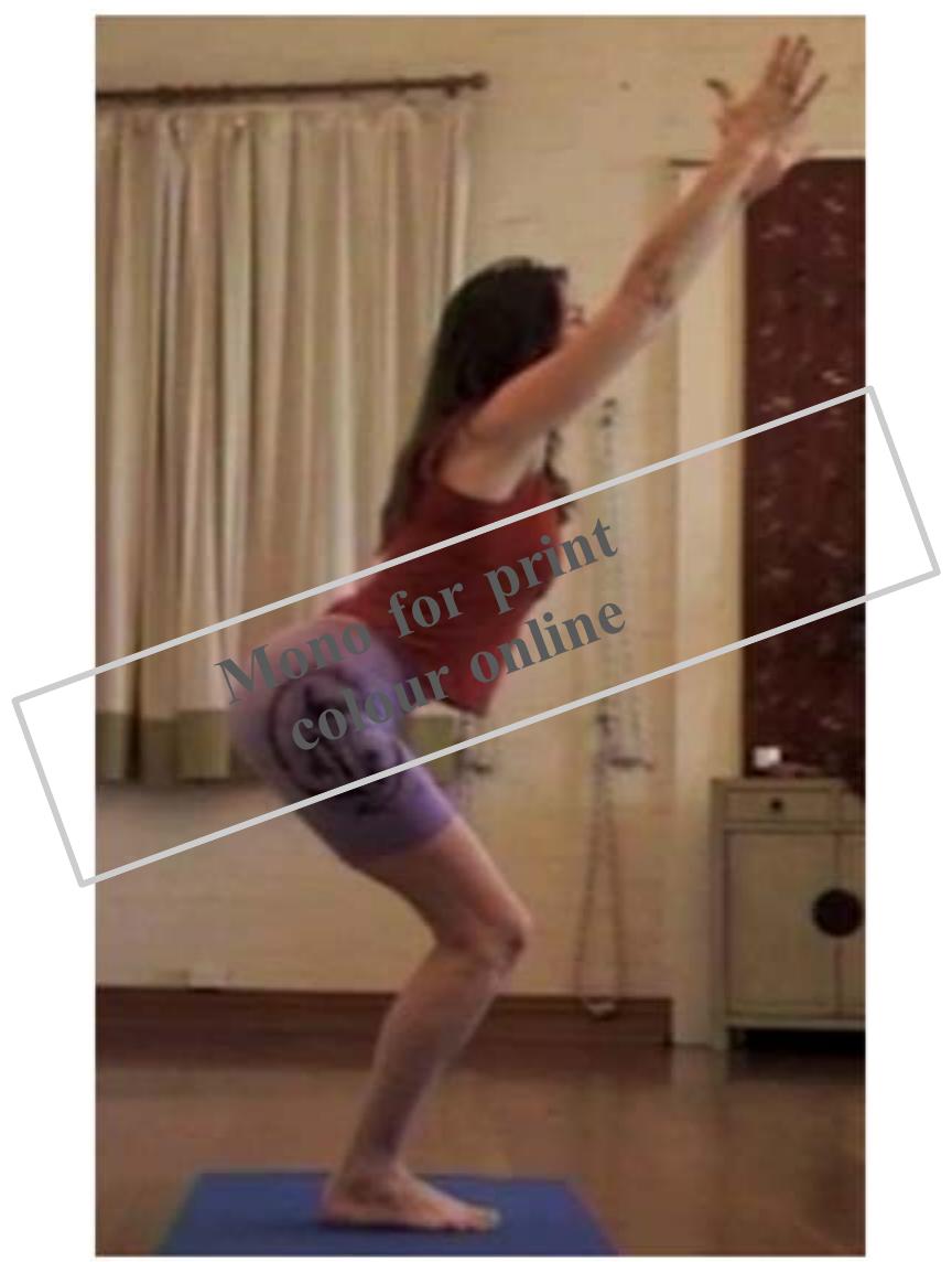 the lower ribs in this pose was still addressed by Craig, as he gave the markedly differ- 