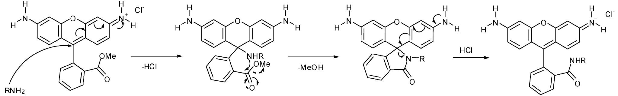 Proposed mechanism for reaction of primary amines with