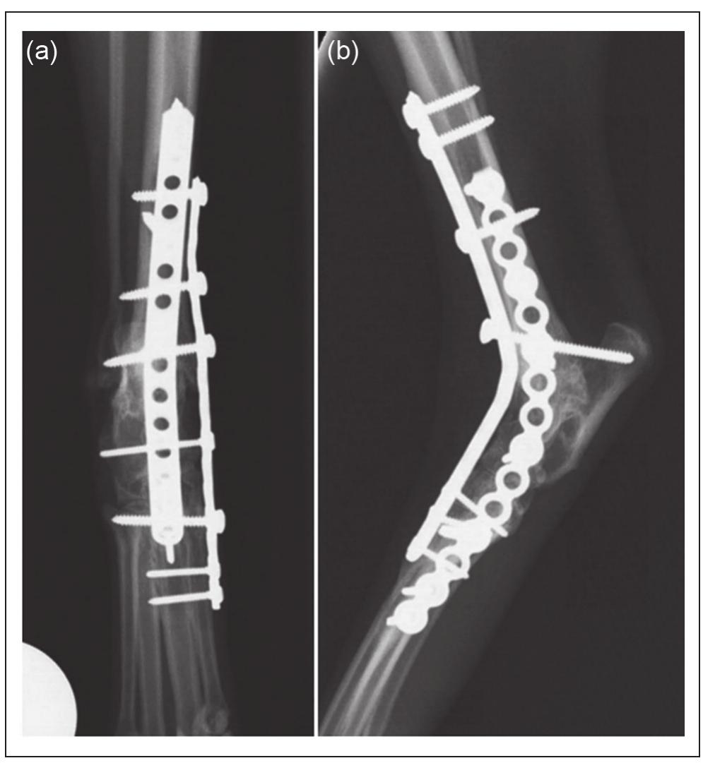 Caudocranial (a) and mediolateral (b) radiographic views of