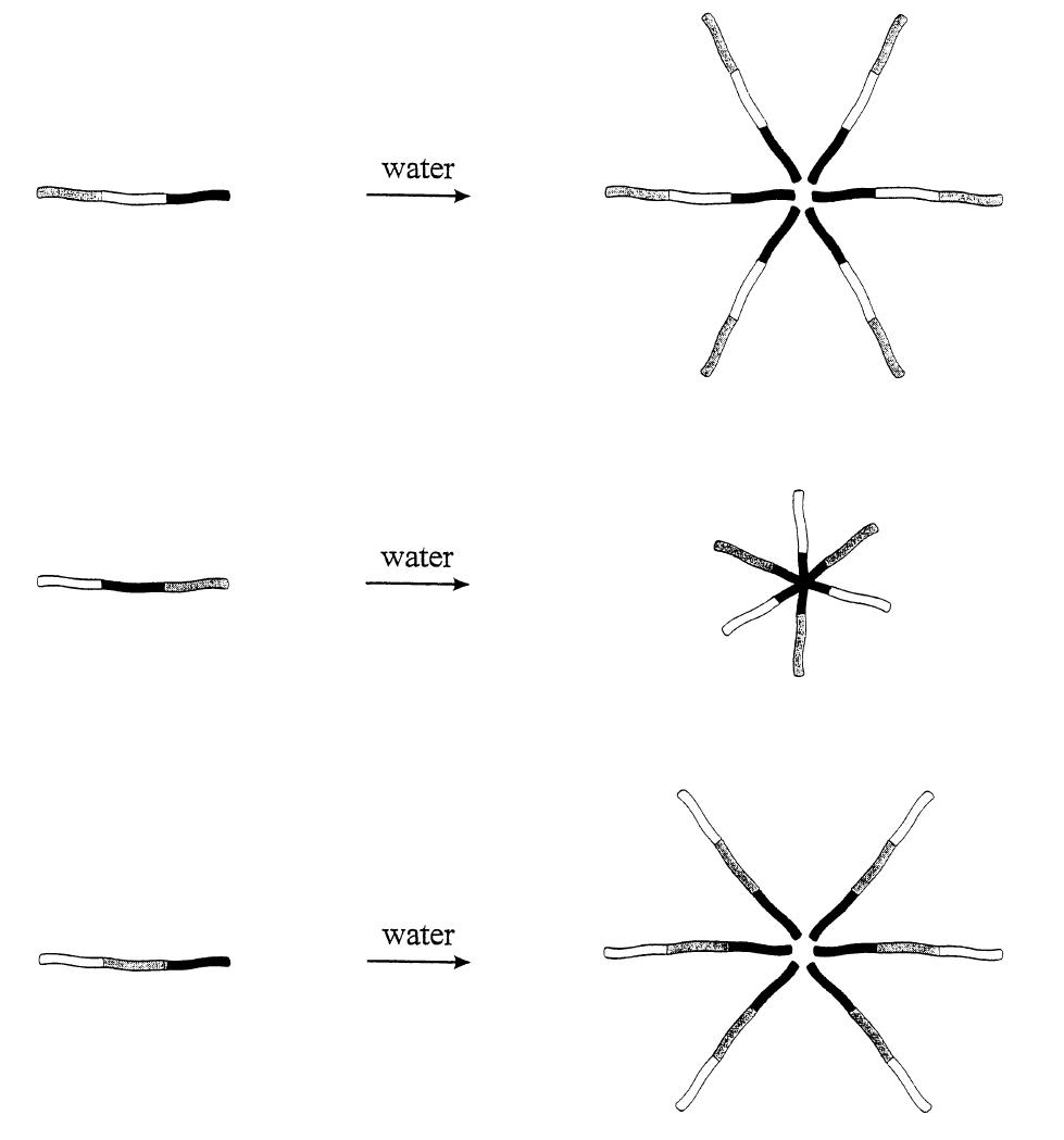 Figure 3 - from Amphiphilic diblock and ABC triblock