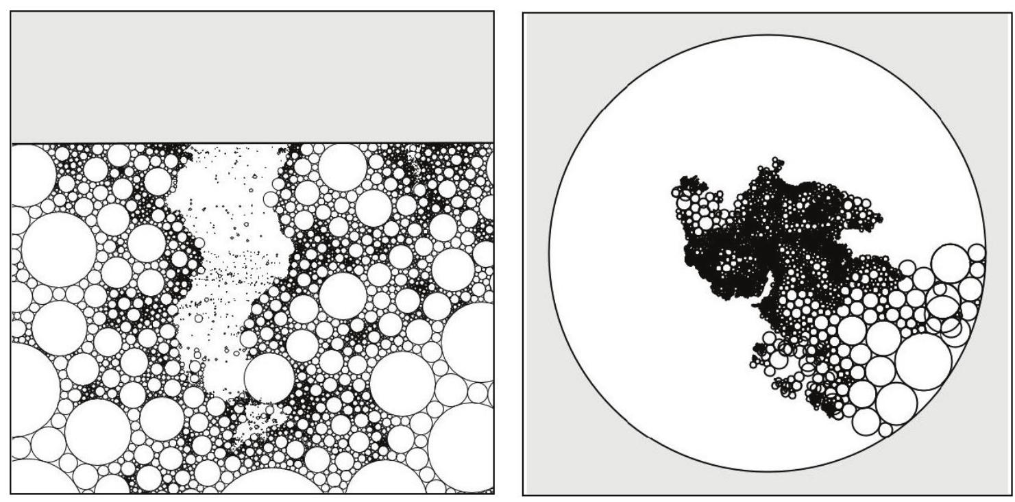(PDF) A linearized circle packing algorithm