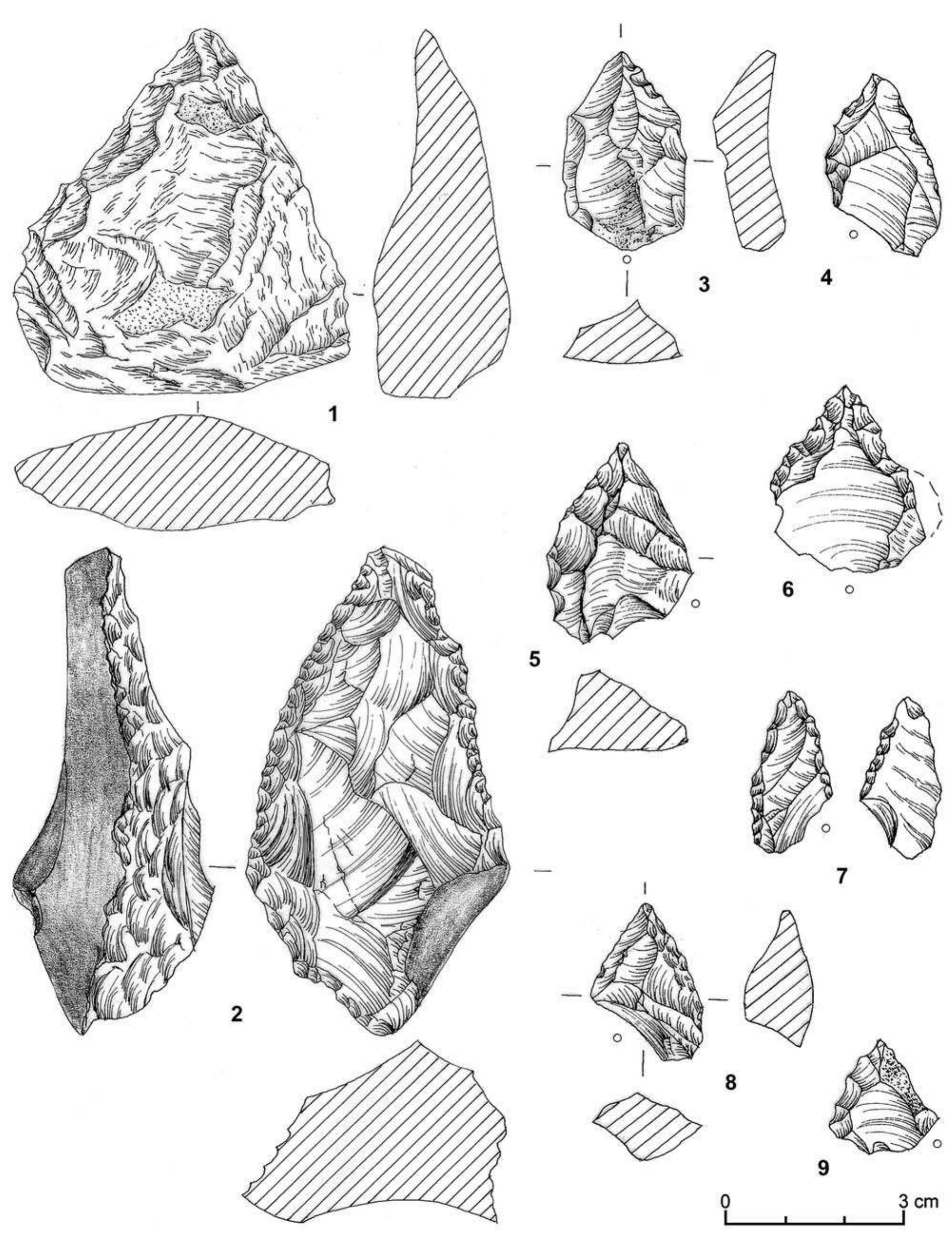 Figure 3 - Paleolithic and mesolithic finds from profile of