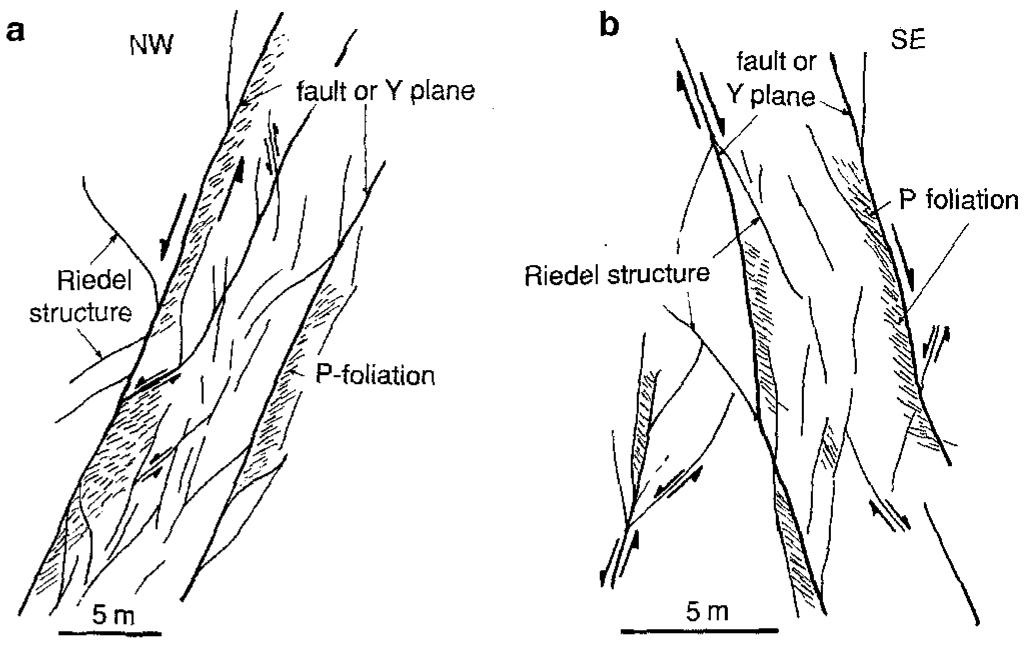 A, b line drawings of cross-sectional views of outcrop-scale